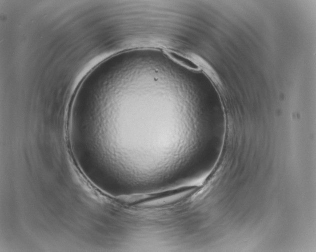 X0000060811052200511241930