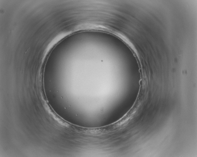 X0000060811053200511241930