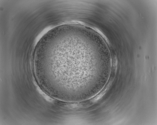 X0000060811054200511241931