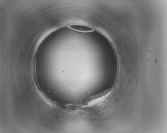 X0000060811056200511241931