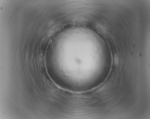 X0000060811059200511241930