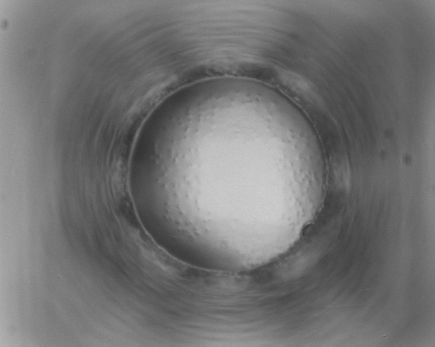 X0000060811060200511241930