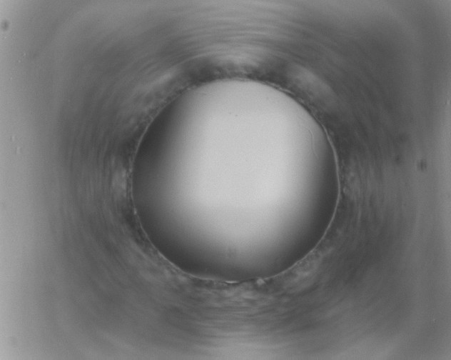 X0000060811061200511241930