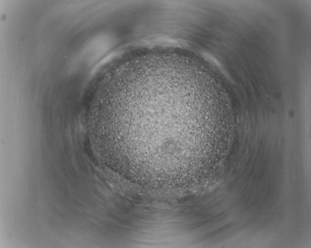 X0000060811063200511241930