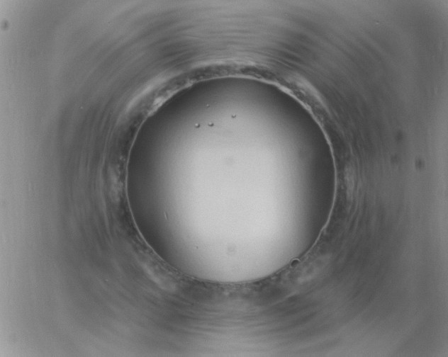 X0000060811064200511241930