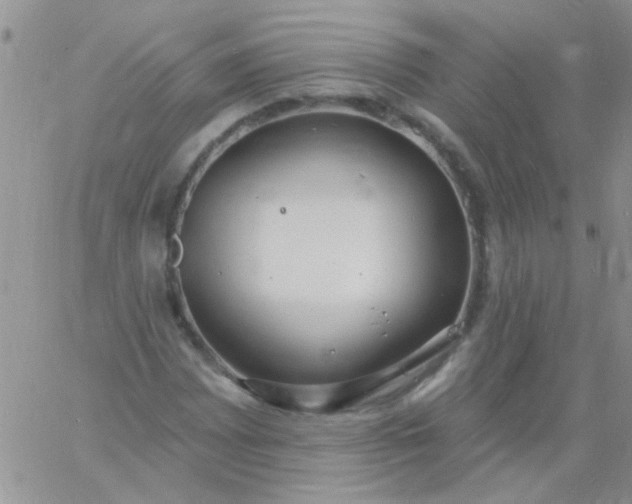 X0000060811065200511241930