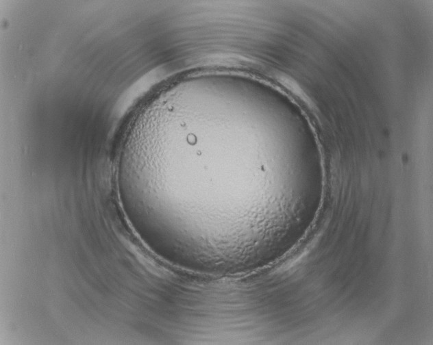 X0000060811067200511241930