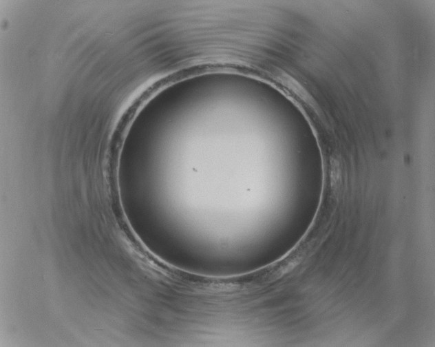 X0000060811068200511241930