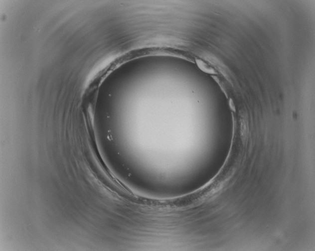 X0000060811069200511241930