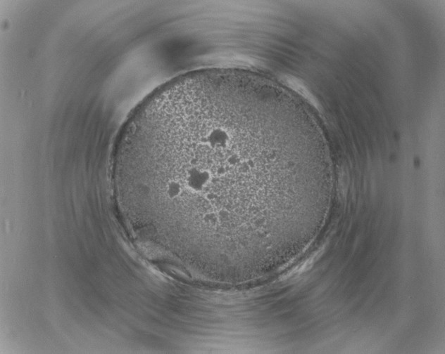 X0000060811071200511241930