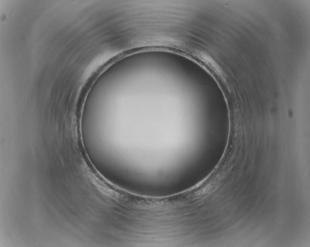 X0000060811072200511241930