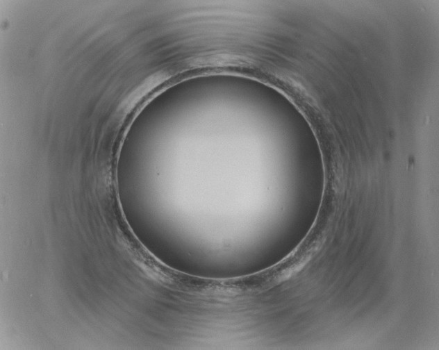 X0000060811073200511241929