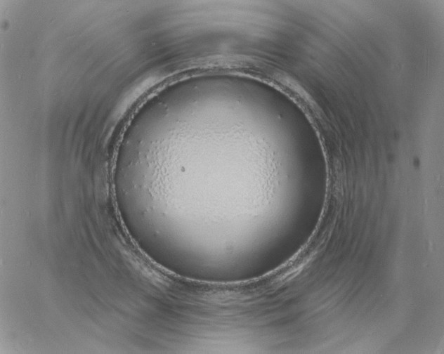 X0000060811075200511241929