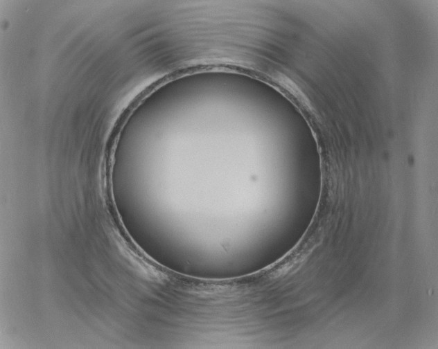 X0000060811076200511241929