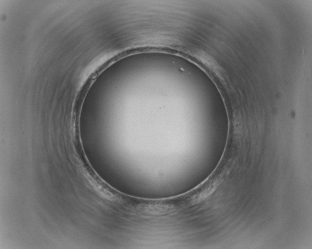 X0000060811077200511241929