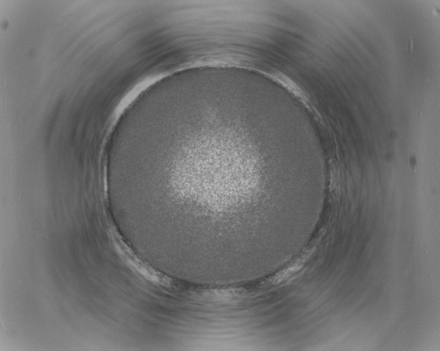 X0000060811078200511241929