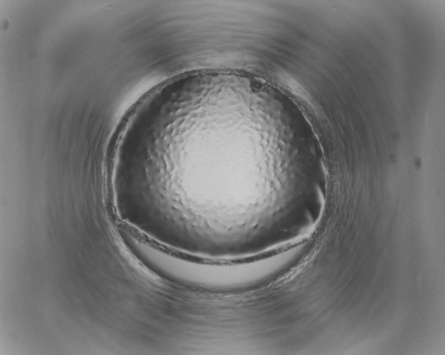 X0000060811079200511241929