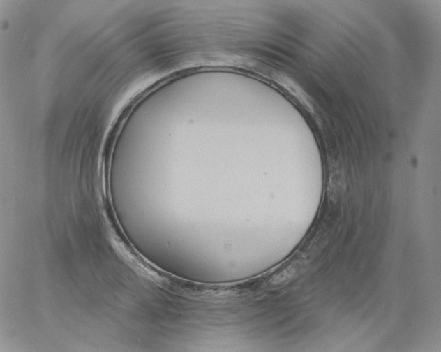 X0000060811080200511241929