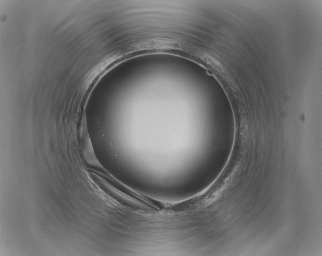 X0000060811081200511241929