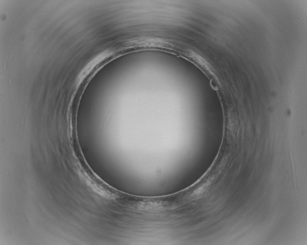 X0000060811082200511241929