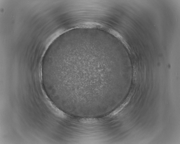 X0000060811083200511241929