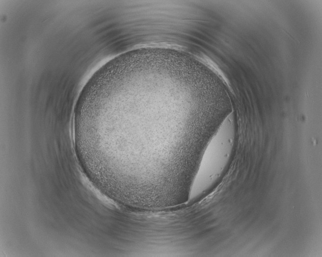 X0000060811084200511241929