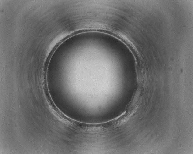 X0000060811085200511241929