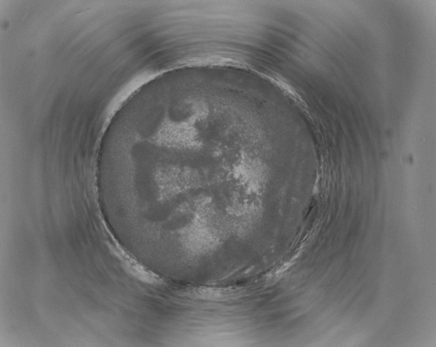 X0000060811086200511241929