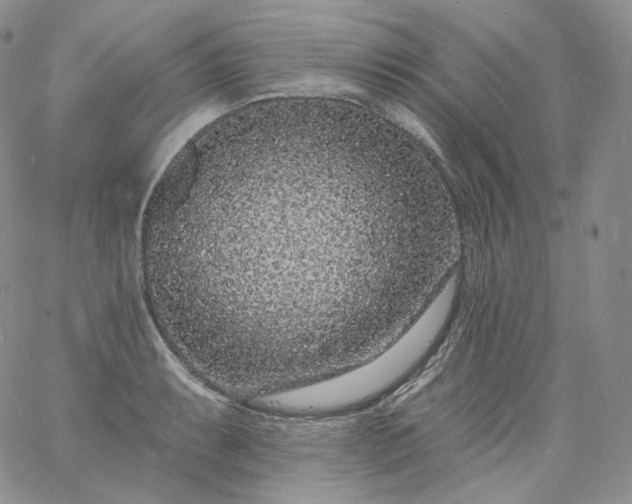 X0000060811087200511241929