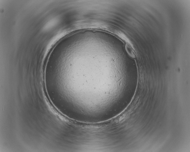 X0000060811088200511241929