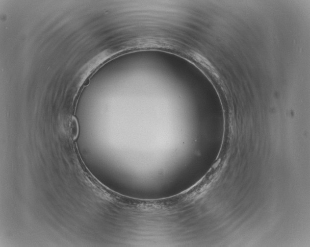 X0000060811089200511241929