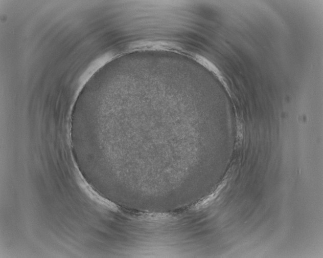 X0000060811090200511241929