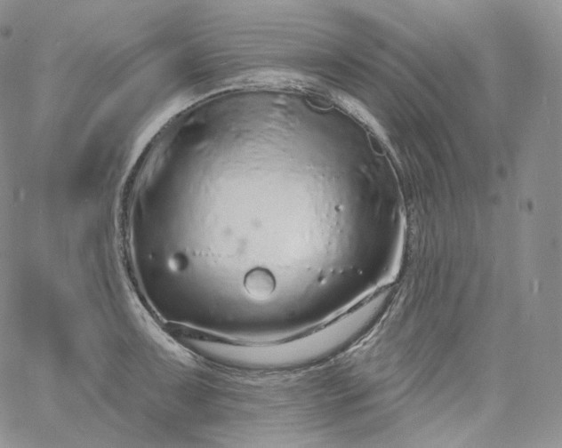 X0000060811091200511241929