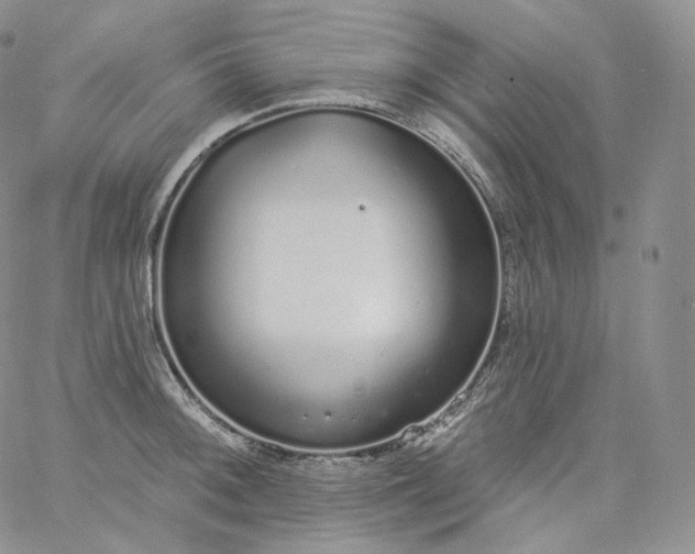 X0000060811092200511241929