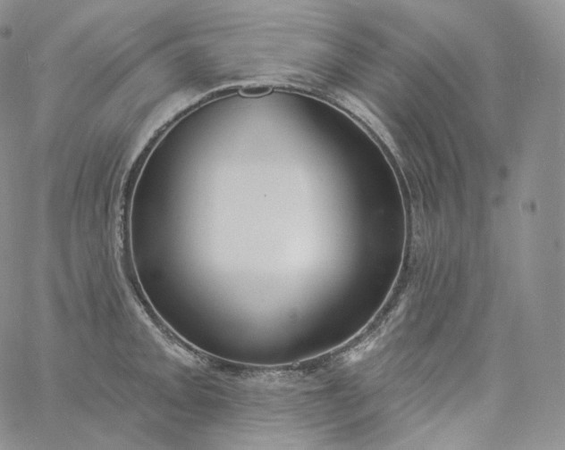 X0000060811093200511241929