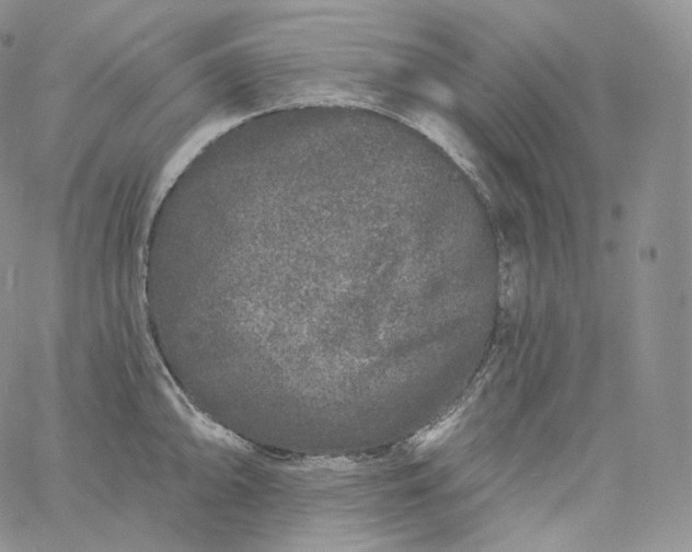 X0000060811094200511241929