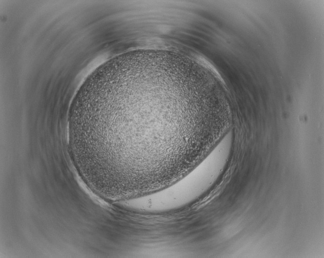 X0000060811095200511241929