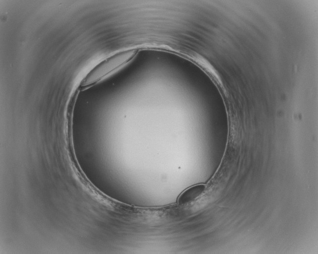 X0000060811096200511241929