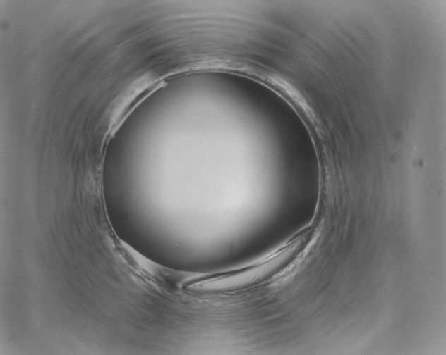 X0000060811097200511241929