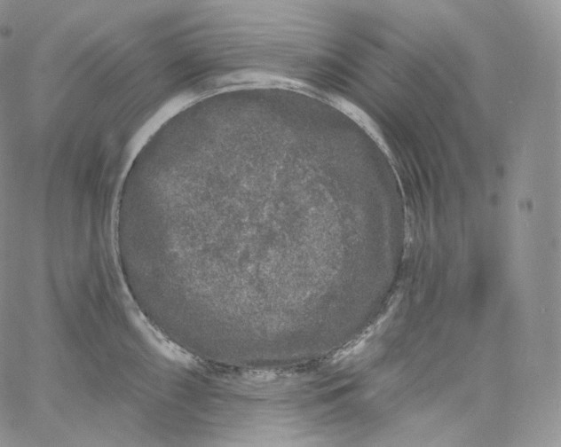 X0000060811098200511241929