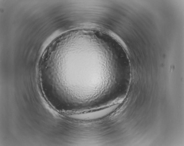 X0000060811099200511241929