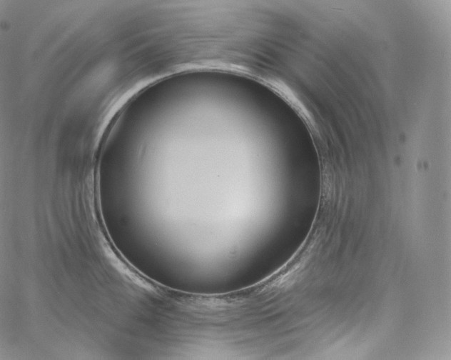 X0000060811100200511241929