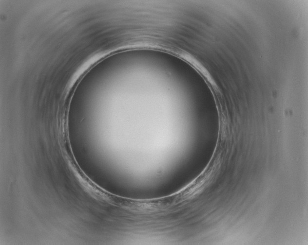 X0000060811101200511241929