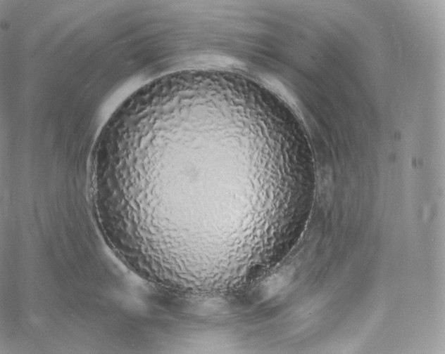 X0000060811103200511241929