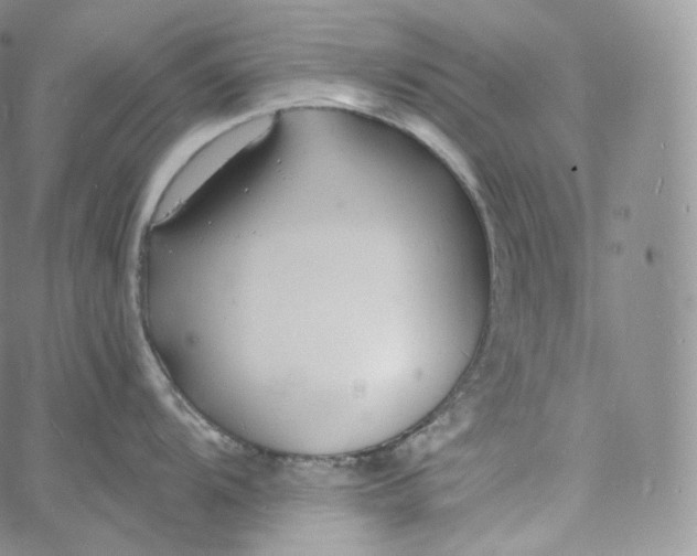 X0000060811104200511241929