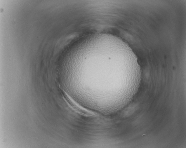 X0000060811105200511241928