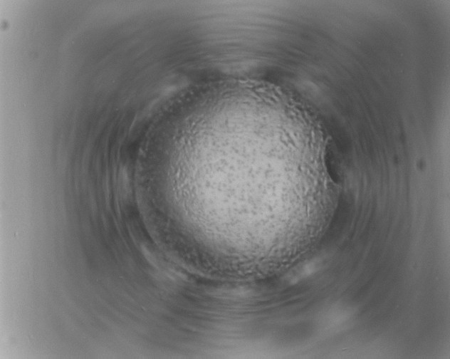 X0000060811106200511241928