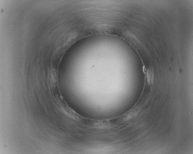 X0000060811107200511241928