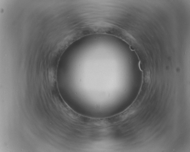 X0000060811108200511241928