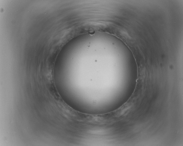 X0000060811109200511241928